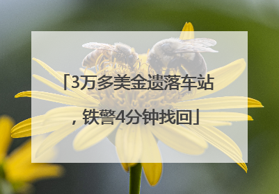 3万多美金遗落车站，铁警4分钟找回