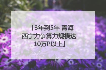 3年到5年 青海西宁力争算力规模达10万P以上