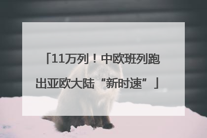 11万列！中欧班列跑出亚欧大陆“新时速”