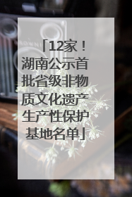 12家！湖南公示首批省级非物质文化遗产生产性保护基地名单