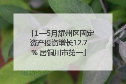 1—5月耀州区固定资产投资增长12.7% 居铜川市第一