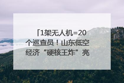 1架无人机=20个巡查员！山东低空经济“硬核王炸”亮相青岛，下一个万亿赛道藏在这里