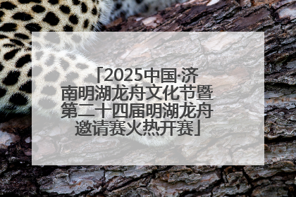 2025中国·济南明湖龙舟文化节暨第二十四届明湖龙舟邀请赛火热开赛