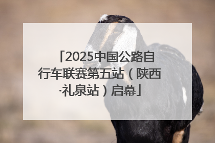 2025中国公路自行车联赛第五站（陕西·礼泉站）启幕