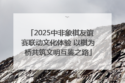 2025中非象棋友谊赛联动文化体验 以棋为桥共筑文明互鉴之路