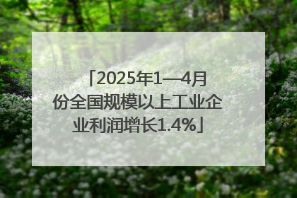 2025年1—4月份全国规模以上工业企业利润增长1.4%