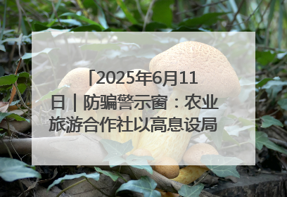 2025年6月11日｜防骗警示窗：农业旅游合作社以高息设局，集资380万