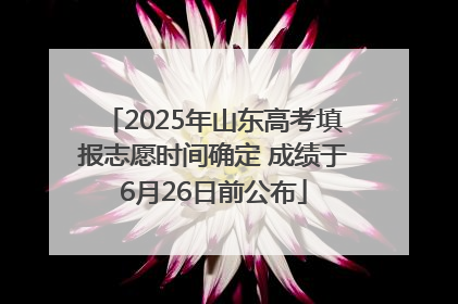 2025年山东高考填报志愿时间确定 成绩于6月26日前公布