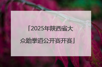 2025年陕西省大众跆拳道公开赛开赛
