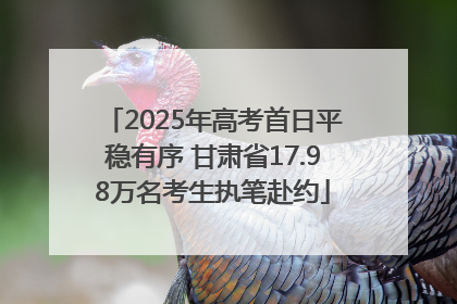 2025年高考首日平稳有序 甘肃省17.98万名考生执笔赴约