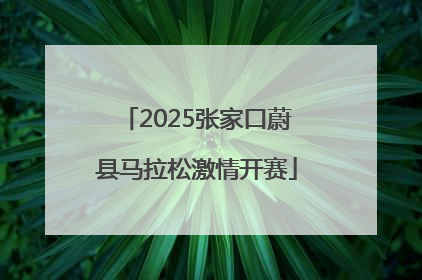 2025张家口蔚县马拉松激情开赛