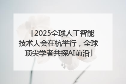 2025全球人工智能技术大会在杭举行，全球顶尖学者共探AI前沿