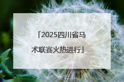 2025四川省马术联赛火热进行