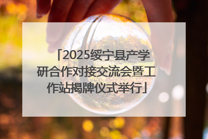 2025绥宁县产学研合作对接交流会暨工作站揭牌仪式举行