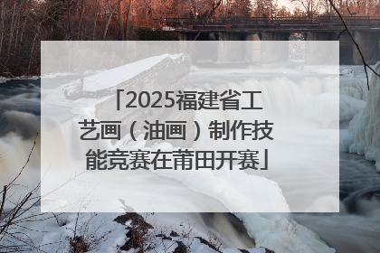 2025福建省工艺画（油画）制作技能竞赛在莆田开赛