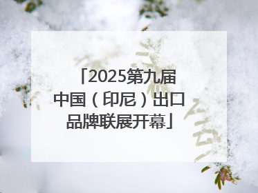 2025第九届中国（印尼）出口品牌联展开幕
