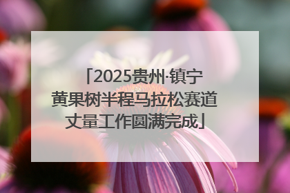 2025贵州·镇宁黄果树半程马拉松赛道丈量工作圆满完成