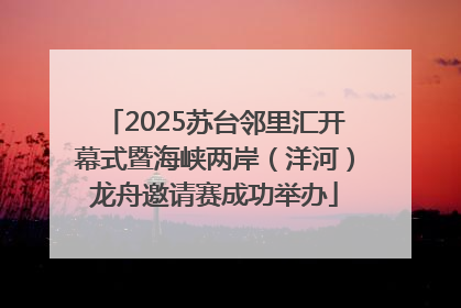 2025苏台邻里汇开幕式暨海峡两岸（洋河）龙舟邀请赛成功举办