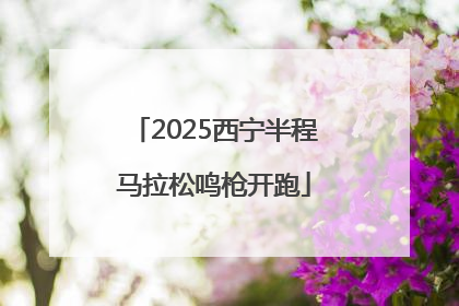 2025西宁半程马拉松鸣枪开跑