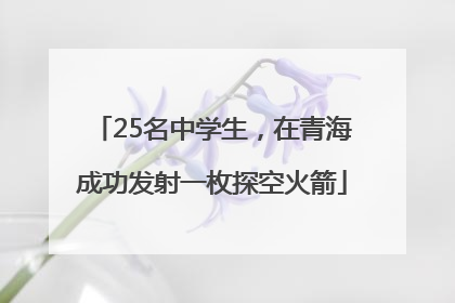 25名中学生，在青海成功发射一枚探空火箭