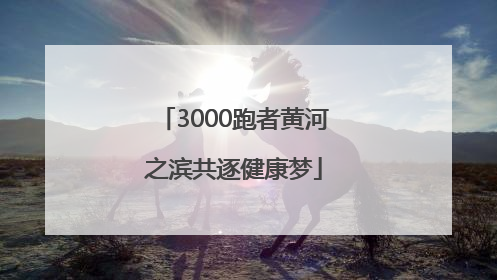 3000跑者黄河之滨共逐健康梦