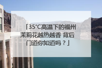 35℃高温下的福州茉莉花越热越香 背后门道你知道吗？