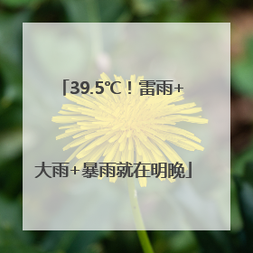 39.5℃！雷雨+大雨+暴雨就在明晚