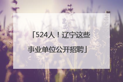 524人！辽宁这些事业单位公开招聘