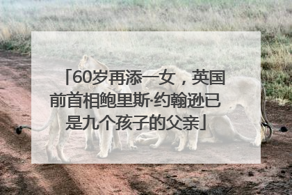 60岁再添一女，英国前首相鲍里斯·约翰逊已是九个孩子的父亲