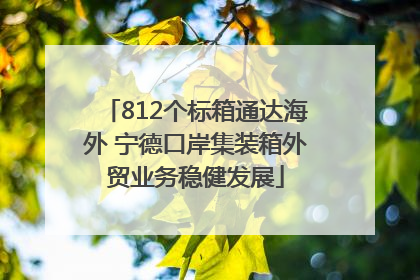 812个标箱通达海外 宁德口岸集装箱外贸业务稳健发展