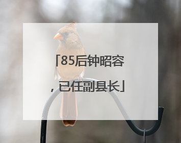 85后钟昭容，已任副县长