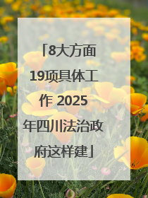 8大方面 19项具体工作 2025年四川法治政府这样建