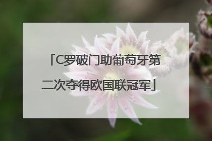 C罗破门助葡萄牙第二次夺得欧国联冠军