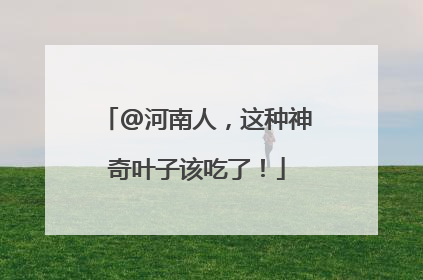 @河南人，这种神奇叶子该吃了！