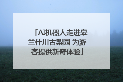 AI机器人走进皋兰什川古梨园 为游客提供新奇体验