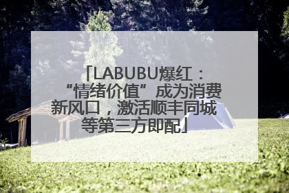 LABUBU爆红：“情绪价值”成为消费新风口，激活顺丰同城等第三方即配