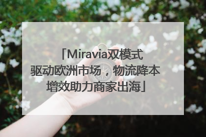 Miravia双模式驱动欧洲市场，物流降本增效助力商家出海
