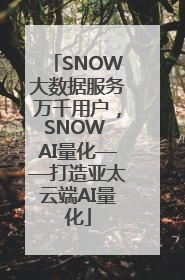 SNOW大数据服务万千用户，SNOW AI量化——打造亚太云端AI量化
