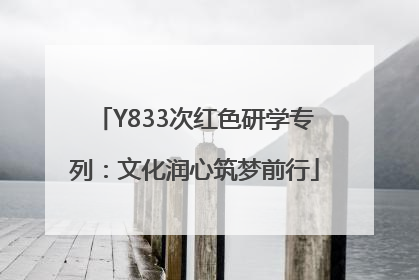 Y833次红色研学专列：文化润心筑梦前行